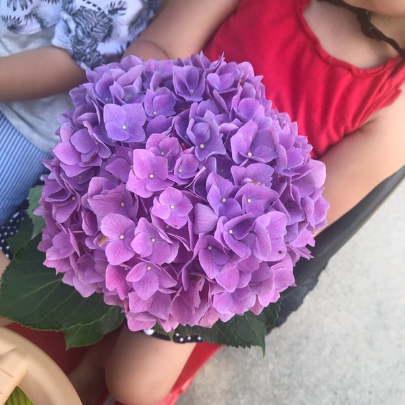 Meet your Posher, Wife, mom, buyer, seller. 😁 - Picture 8 of 8